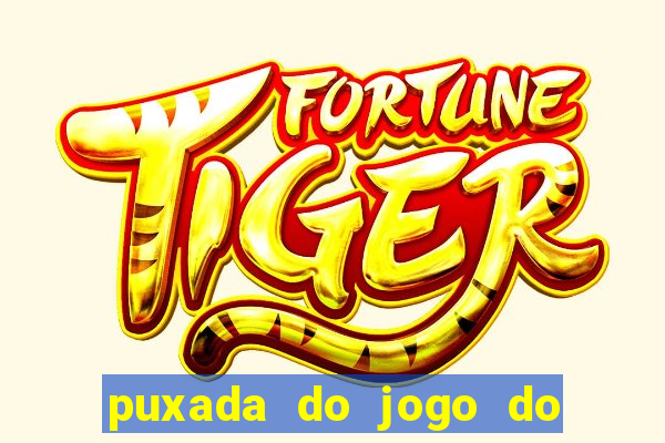 puxada do jogo do bicho da sueli